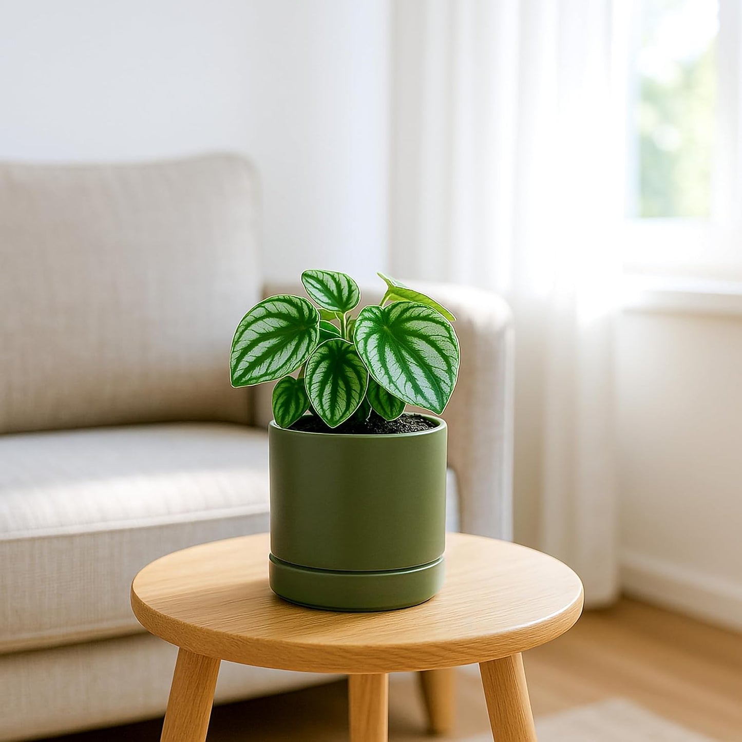 D'vine Dev 4.7 Inch Ceramic Planter Pot with Drainage Hole and Saucer, Indoor Cylinder Round Planter Pot, Olive, 94-O-B-J