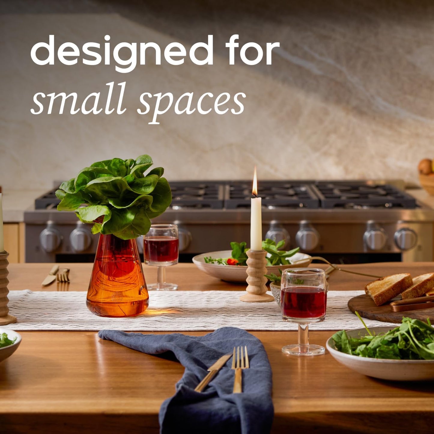 Counterstand Set – Vase Plant for Indoor Edible Garden Kit for Herbs & Lettuce – Small-Space Hydroponic System – Home Decor & Gifting – with Live Plants