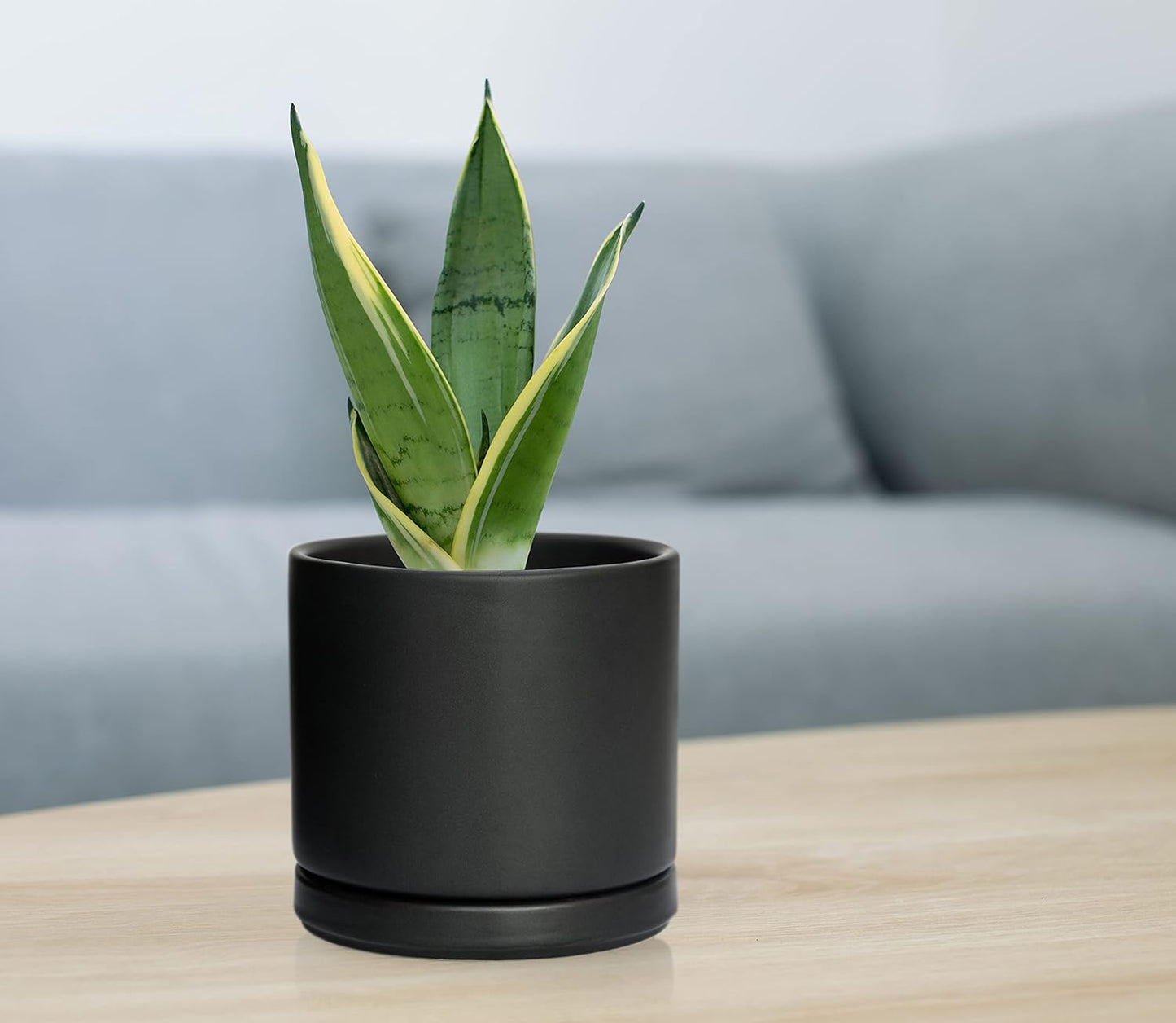 D'vine Dev Set of 4 Small Ceramic Plant Pots, 4.6 Inch Succulent Planter Pot for Plants with Drainage Hole and Saucer, Black, 94-X-B-2