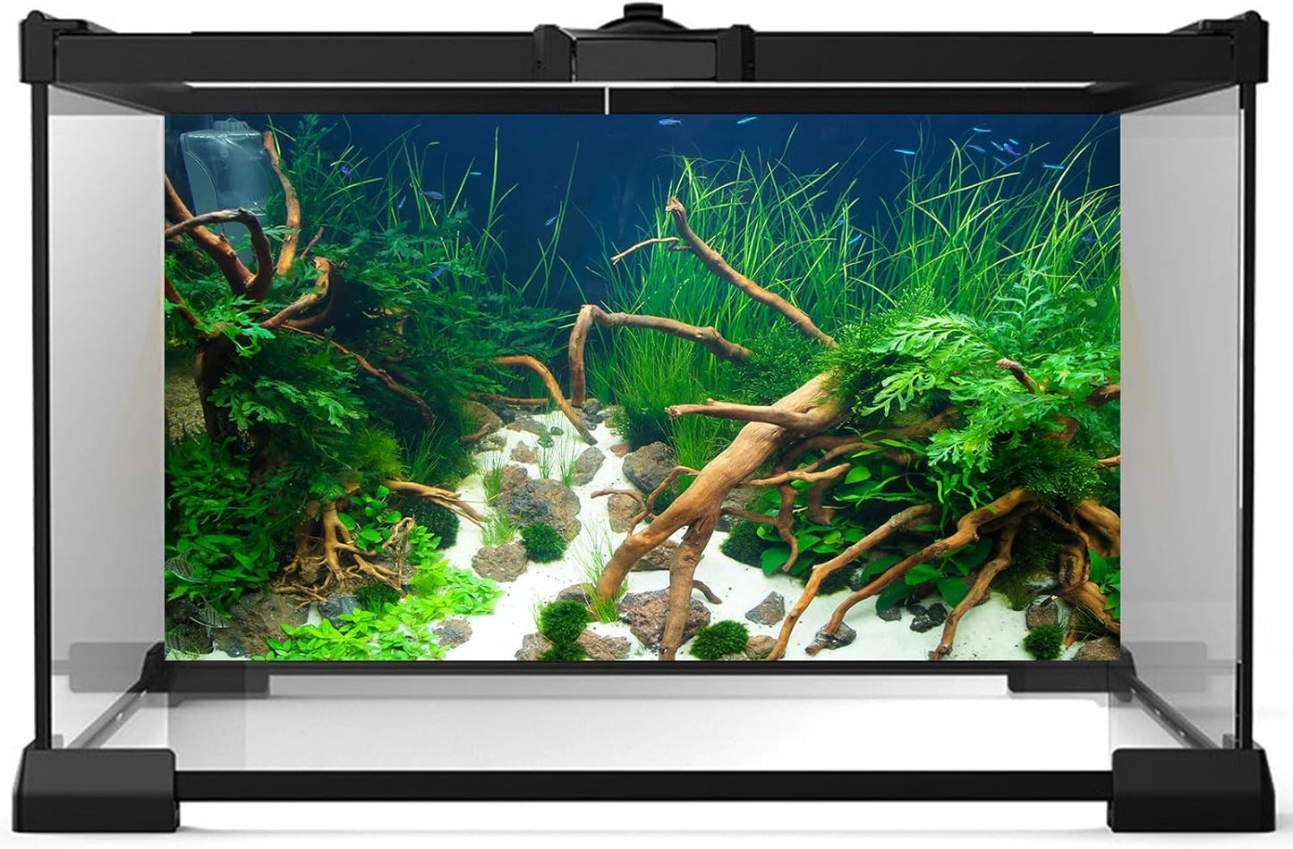 Aquarium Background Various Underwater Grass Plants Aquarium Backdrop Vivid and Fresh Green Aquatic Plants Stone River Bed and Dead Wood Yellow Stone Tank Background Vinyl 72x16in