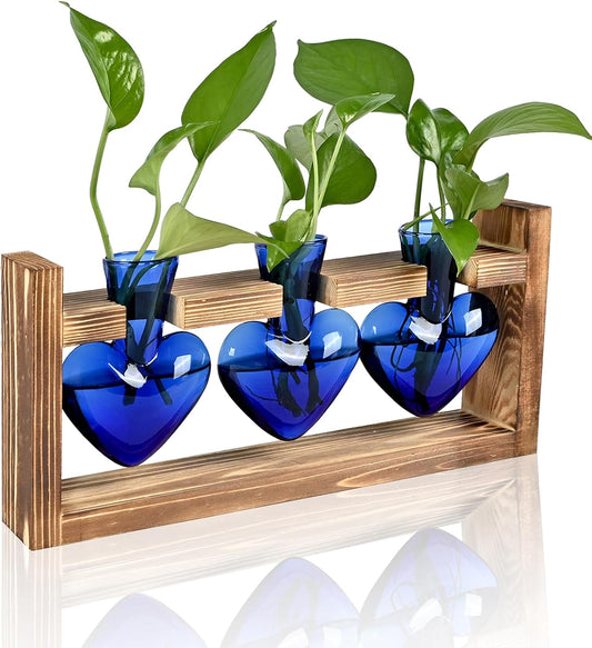 Plant Terrarium Propagation Stations Hydroponics Home Garden Decoration Gift for Women with Wooden Stand Heart Shaped Colored Glass Vase