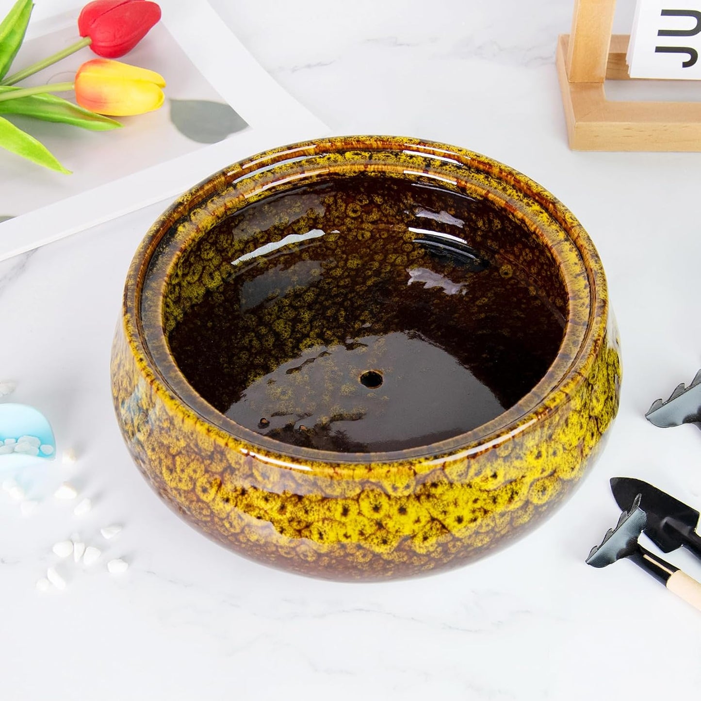 ARTKETTY Succulent Pots - 8 Inch Plant Pot, Large Bonsai Pots with Drainage, Ceramic Planters for Indoor Outdoor Plants, Round Shallow Cactus Flower Plant Container Bowl Decorative Home Garden