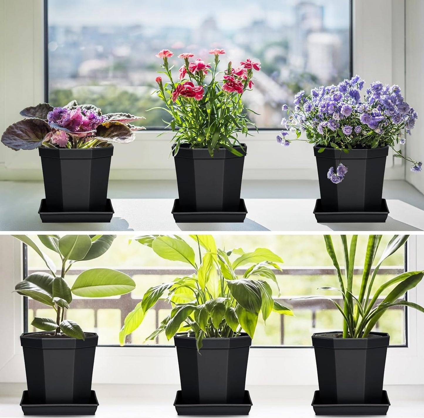 Square Plant Saucer 8 Inch 5 Pack, Heavy Plastic Plant Trays for Pots Pots Base Plant Saucers for Indoors and Outdoors, Pot Saucers for Plants,Garden Plant Water Catcher Tray.