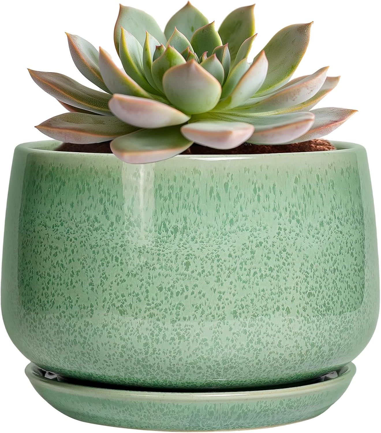 G EPGardening Ceramic Pots for Plants - 6 Inch Plant Pot with Drainage Hole and Saucer, Modern Ceramic Planter for Indoor Outdoor, Round Flower Planter, Gifts for Plants Lovers, Home Decor, Green