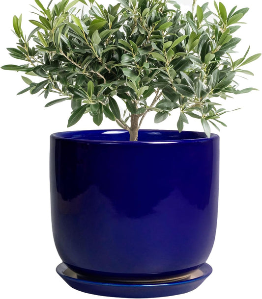 8 Inch Ceramic Plant Pot - Decorative Round Planter for Indoor Plants with Drainage Hole and Saucer, Home House Room Office Garden Decor, Blue
