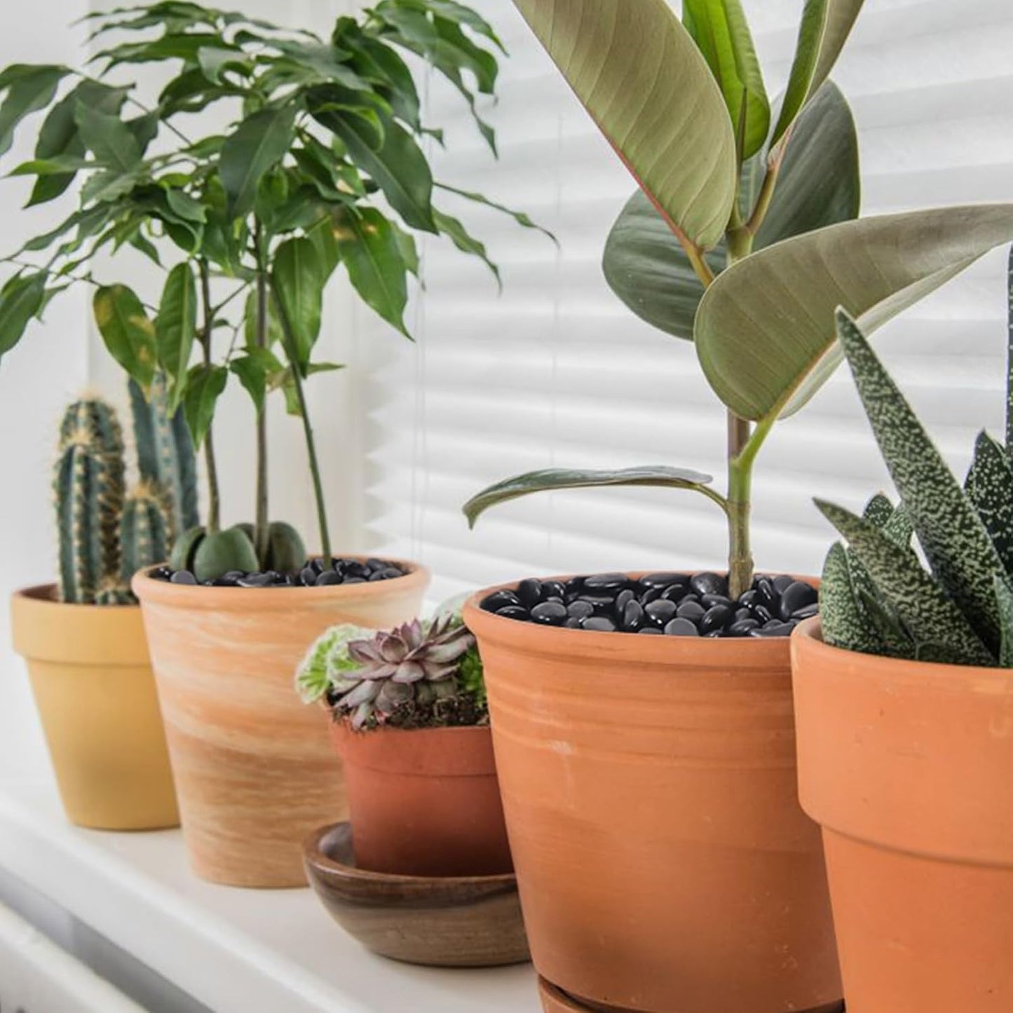 2.2LB Black Pebbles for Indoor Plants, Vases, Succulent, 3/8 Inch Small Black Rocks for Plants, Polished & Decorative