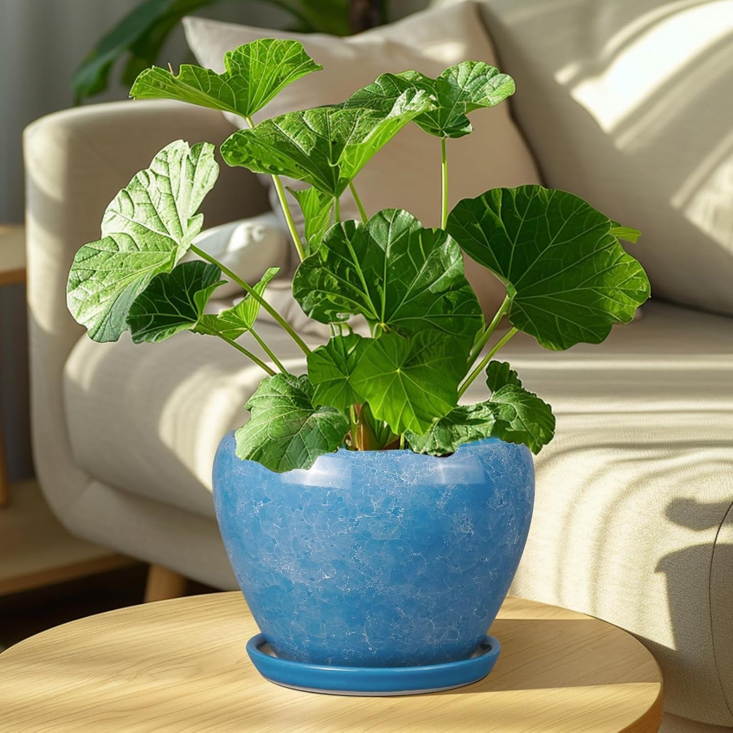 Ceramic Planter - 8 Inch Plant Pot with Drainage Hole and Saucer, Glaze Round Flower Pot for Home Garden Patio Office, Blue