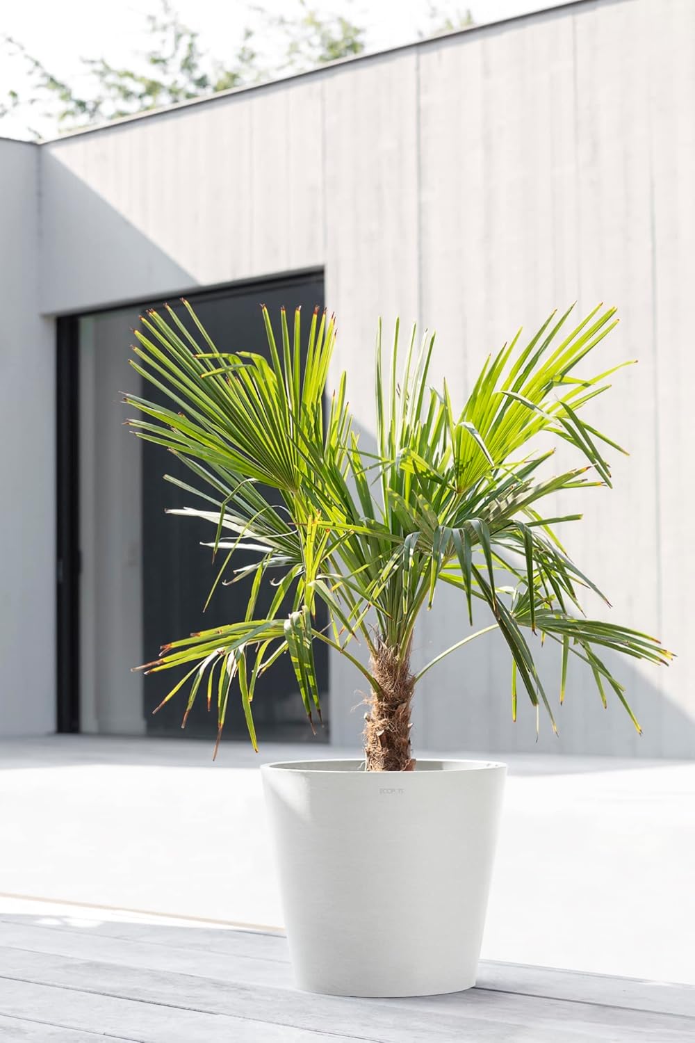 Ecopots Amsterdam Durable Modern Round Indoor/Outdoor Recycled-Based Composite Flower Pot Planter, Pure White, 16"