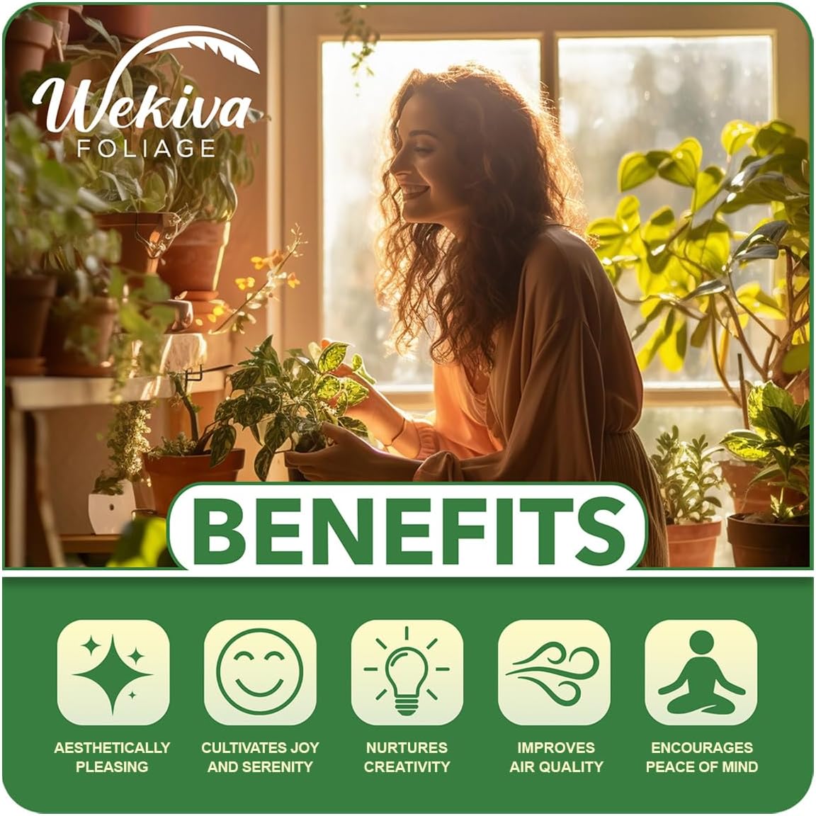 Olympian Fig Tree - 4 Live Starter Plants - Ficus Carica - Edible Fruit Tree for The Patio and Garden