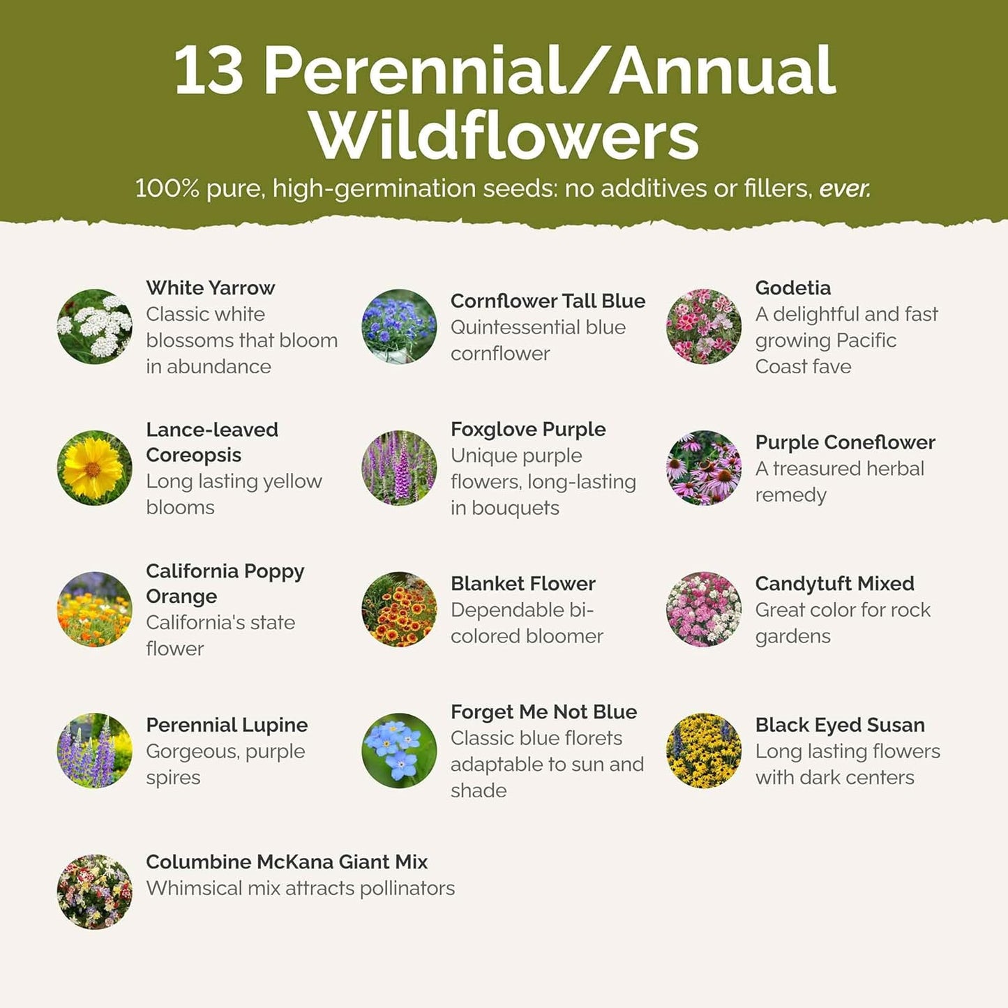 Eden Brothers Deer Resistant Wildflower Mixed Seeds for Planting, 5 lb, 2,400,000+ Seeds with Foxglove, Forget Me Not | Attracts Pollinators, Plant in Spring or Fall, Zones 3, 4, 5, 6, 7, 8, 9, 10