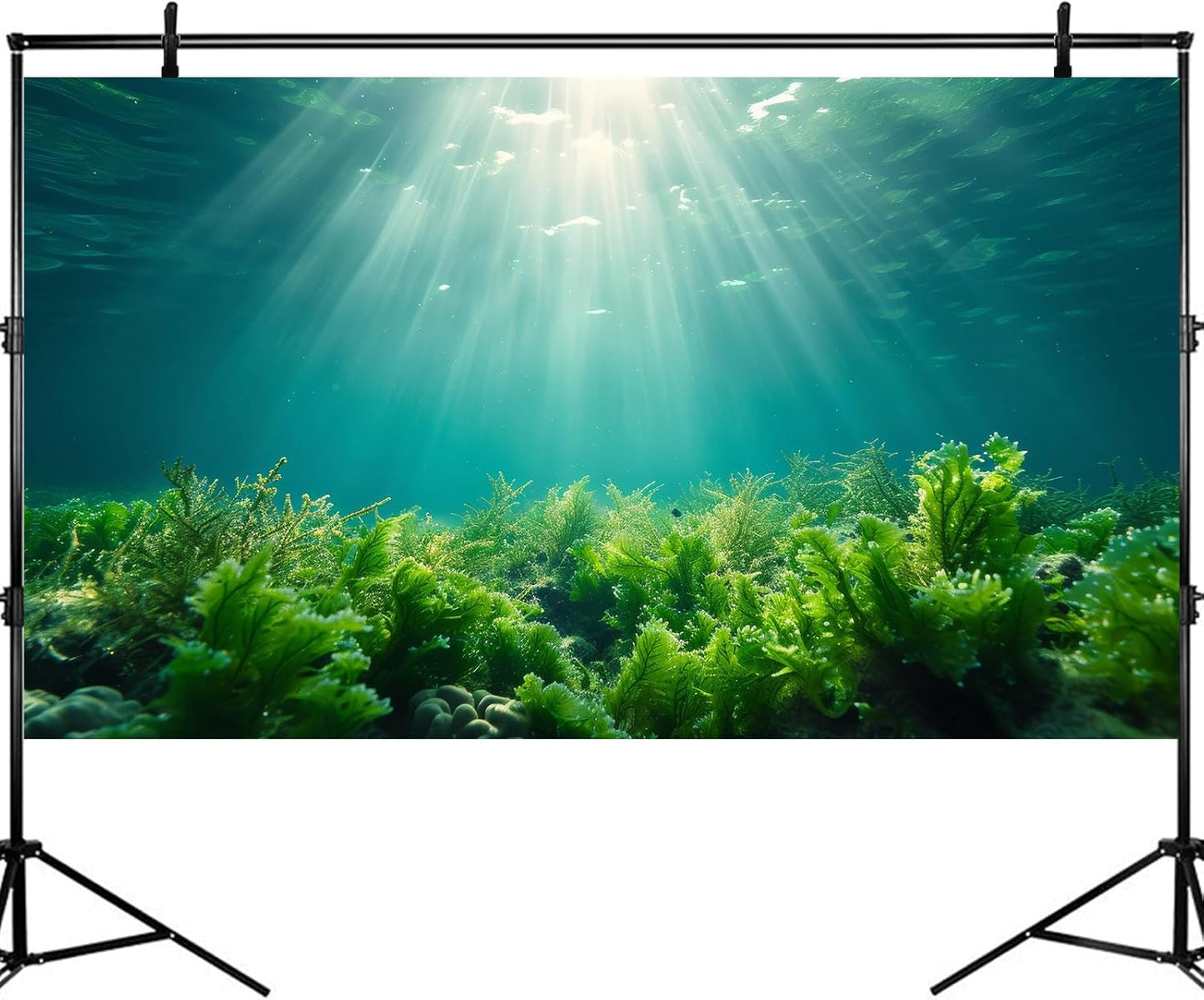 Deep Ocean Fish Tank Background Under The Sea Aquatic Plants Aquarium Background Underwater Corals Sunray Terrarium Backgrounds Tropical Fish Ocean World Aquarium Backgrounds Decorations 24x16in