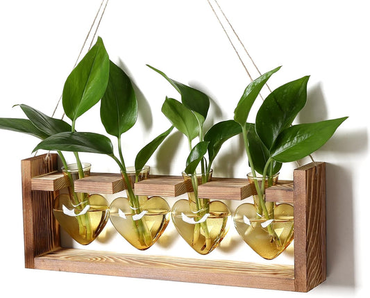 Plant Propagation Stations Heart Plant Terrarium Kit Gift for Women Plant Lover Glass Vases