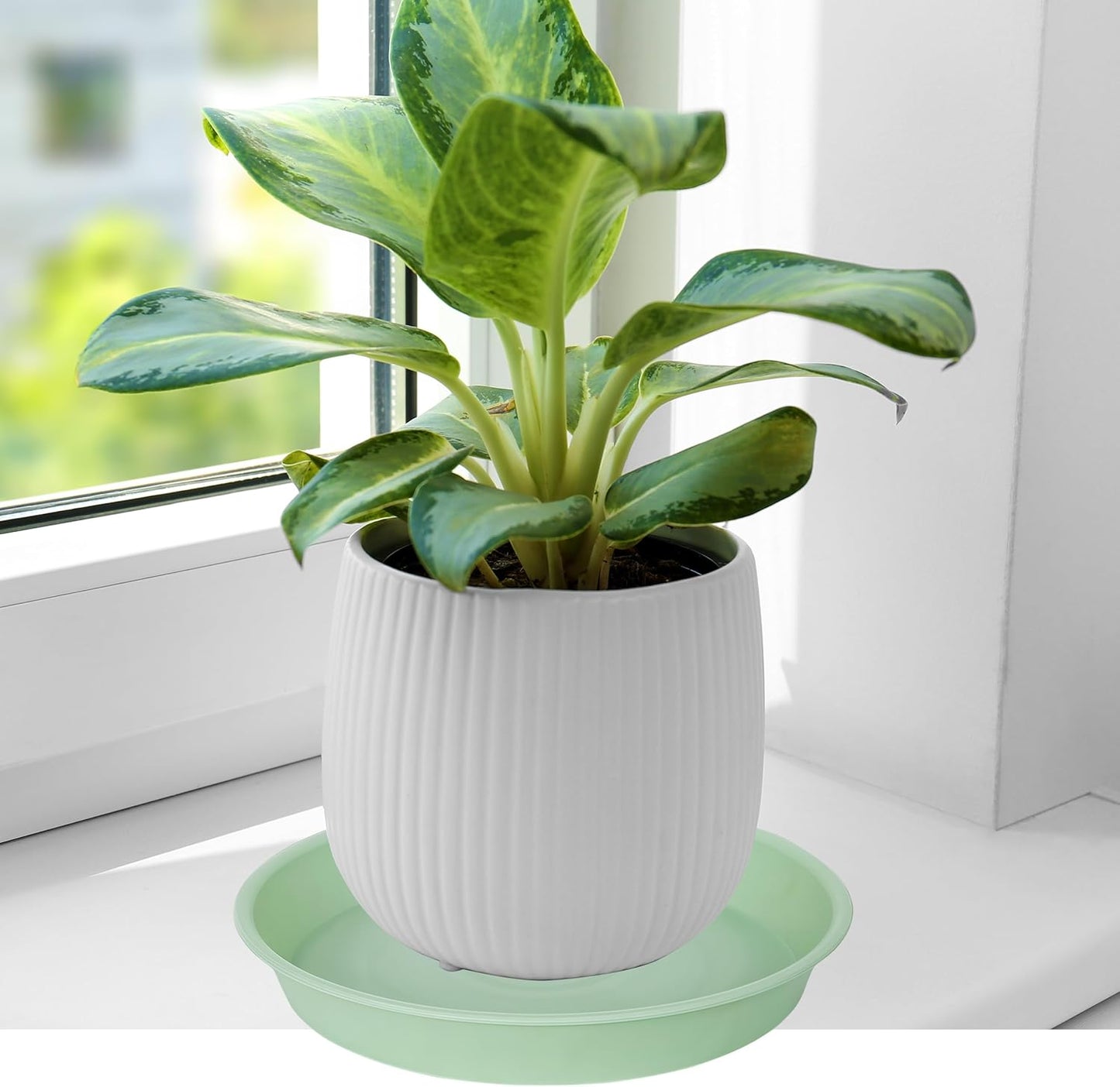 6 Pack of 8 inch Plant Saucer Blue, Plastic Plant Water Tray 8 inch Round, Flower Plant Saucers for Indoors, Dlant Dishes Saucer for Planter 7"/8" (8", Light Green)