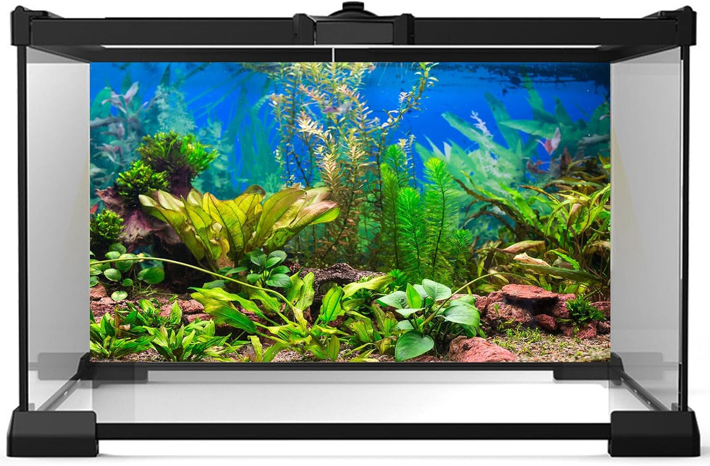 Aquarium Background Various Underwater Grass Plants Aquarium Backdrop Vivid and Fresh Green Aquatic Plants Stone River Bed and Dead Wood Purple Stone Fish Tank Background 30x18in