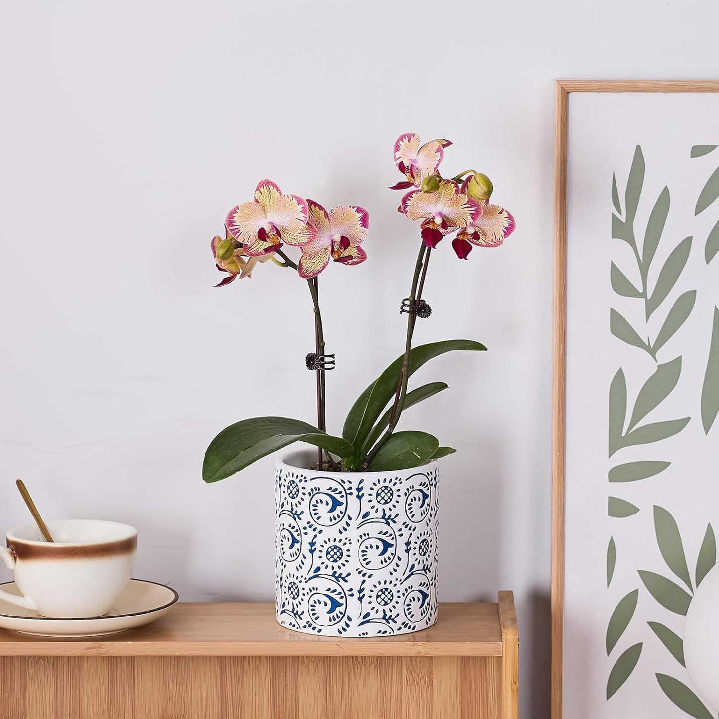 Ceramic Plant Pot for Indoor Plants, 6 Inch Blue & White Floral Porcelain Ceramic Decorative Flower Pot with Drainage Holes, Modern Planter for Home & Office Decor