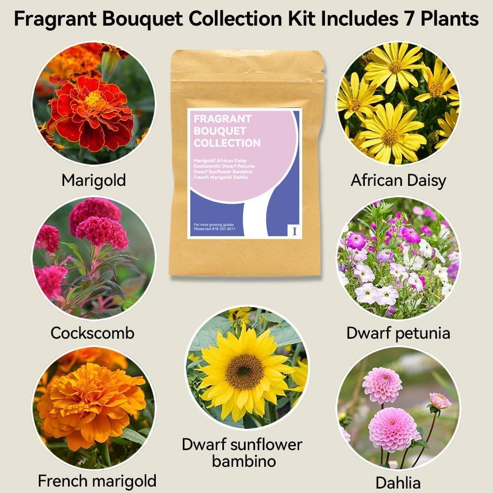 inbloom Fragrant Bouquet Seed Pod Kit for AeroGarden, iDoo, Ahopegarden, GARDENCUBE, 12 Pods (350+ Flower Seeds with Sunflower, Petunia, Mexican Marigold, Cockscomb, French Marigold, Dahlia)