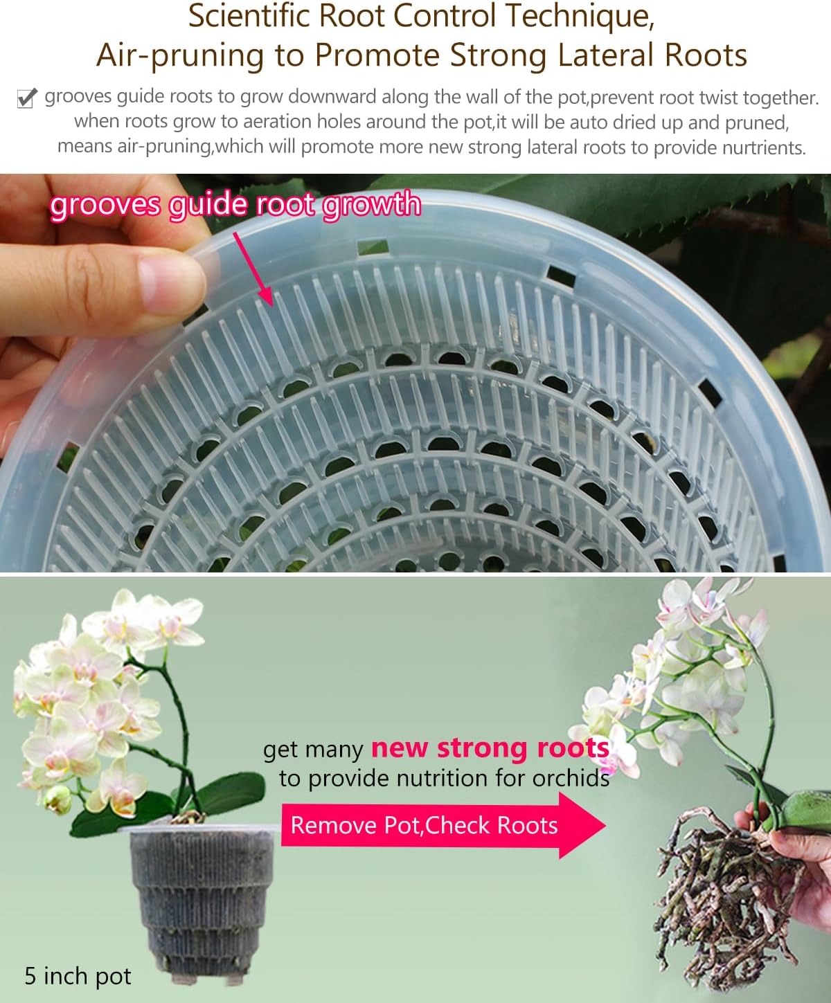 5 inch Orchid Pots with Holes for Repotting with Excellent Airflow, Set of 3, Double Layer Plastic Imitate Ceramic Orchid Planter, Clear Orchid Pot Match Decorative Orchid Container