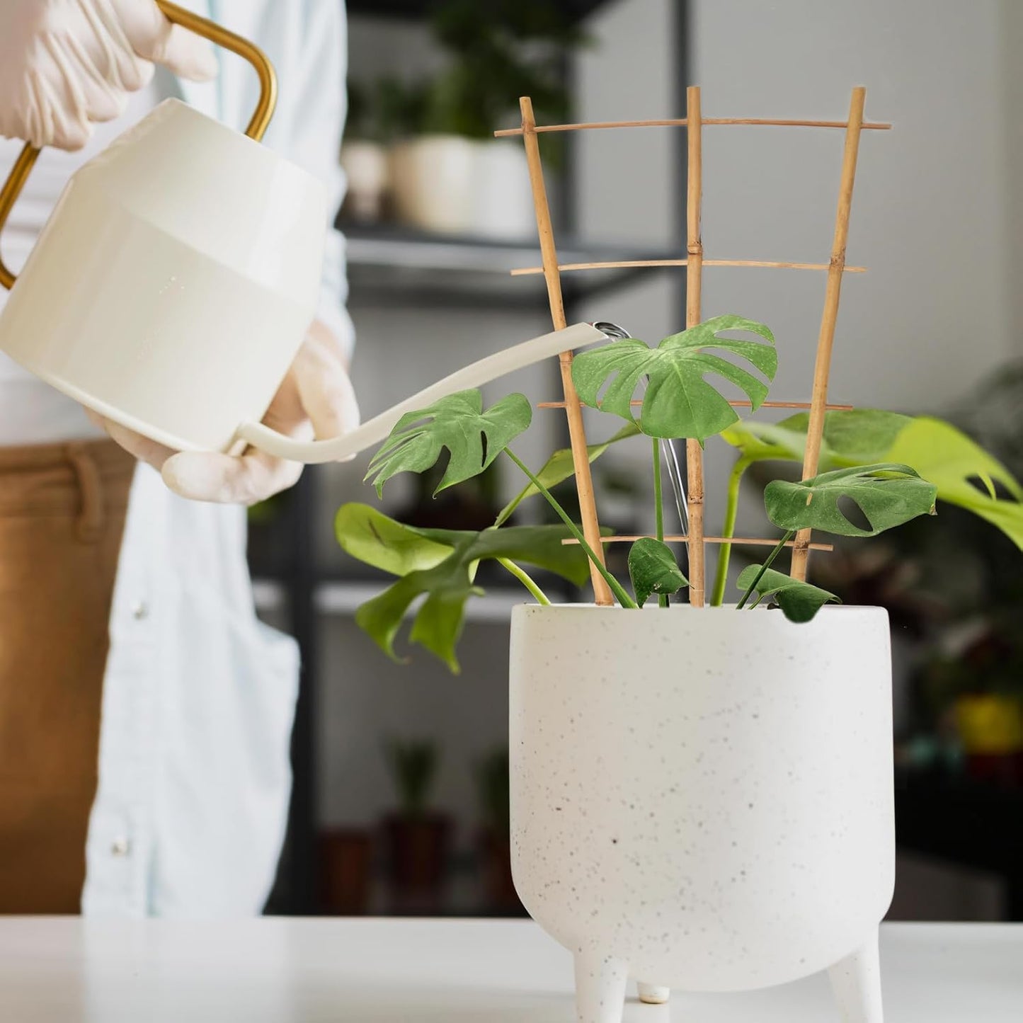 Plant Trellis Indoor 6 Pack Bamboo Trellis with Twist Ties, 16in Fan-Shaped Plant Trellises for Potted Plants Hoya Vines Monstera Houseplants