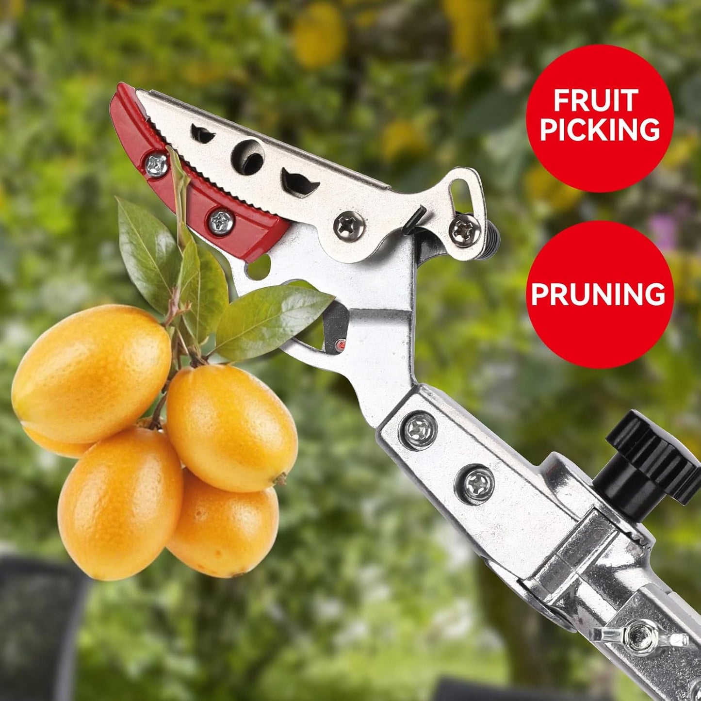 Extendable Tree Cutter, 6.23-10.5 FT Telescopic Pole Pruner, Lightweight Aluminum Handle, Teflon-Coated Blade, Cuts Up to 1/2 Inch, Ideal for Fruit Picking & Tree Branch Cutting | LFX118