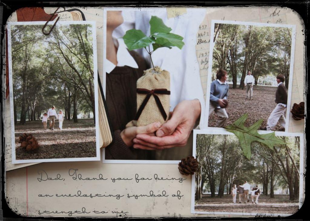 Father's Day Live Persian Lime Tree Gift, Dwarf Citrus Tree, Easy to Grow, Indoor/Outdoor, Unique Gift for Dad, Home Gardeners, by The Magnolia Company, Can't Ship to CA, AL, AZ, LA, TX