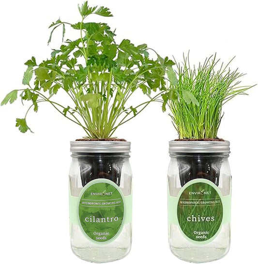 2-Pack Hydroponic Mason Jar Herb Garden Kit, Indoor Herb Garden Self-Watering Starter Kit (Cilantro,Chives)