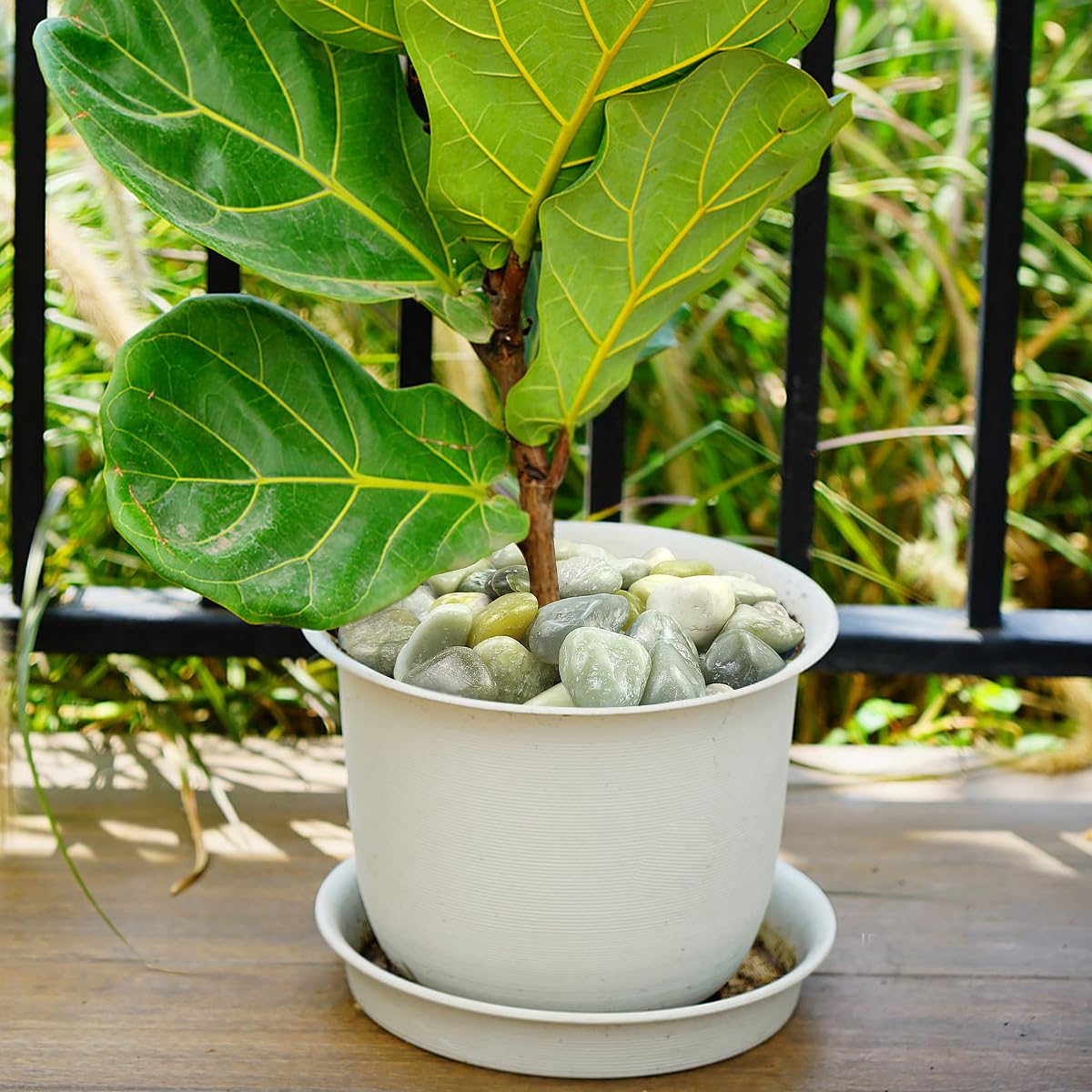 40lbs Jade River Rocks for Landscaping, 2-3 Inch Natural Pebbles for Indoor Plants, High Polished Decorative Stones Garden Outdoor and Indoor DIY Vase Filler Fish Tank Aquariums