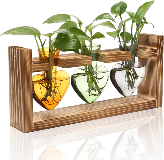 Plant Terrarium Propagation Stations Hydroponics Home Garden Decoration Gift for Women with Wooden Stand Heart Shaped Colored Glass Vase