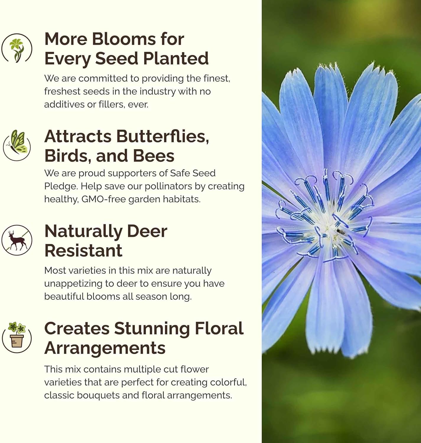 Eden Brothers Singin the Blues Wildflower Mixed Seeds for Planting, 5 lb, 2,400,000+ Seeds with Blue Flax, Lupine, Chicory, Attracts Pollinators, Plant in Spring or Fall, Zones 3, 4, 5, 6, 7, 8, 9, 10