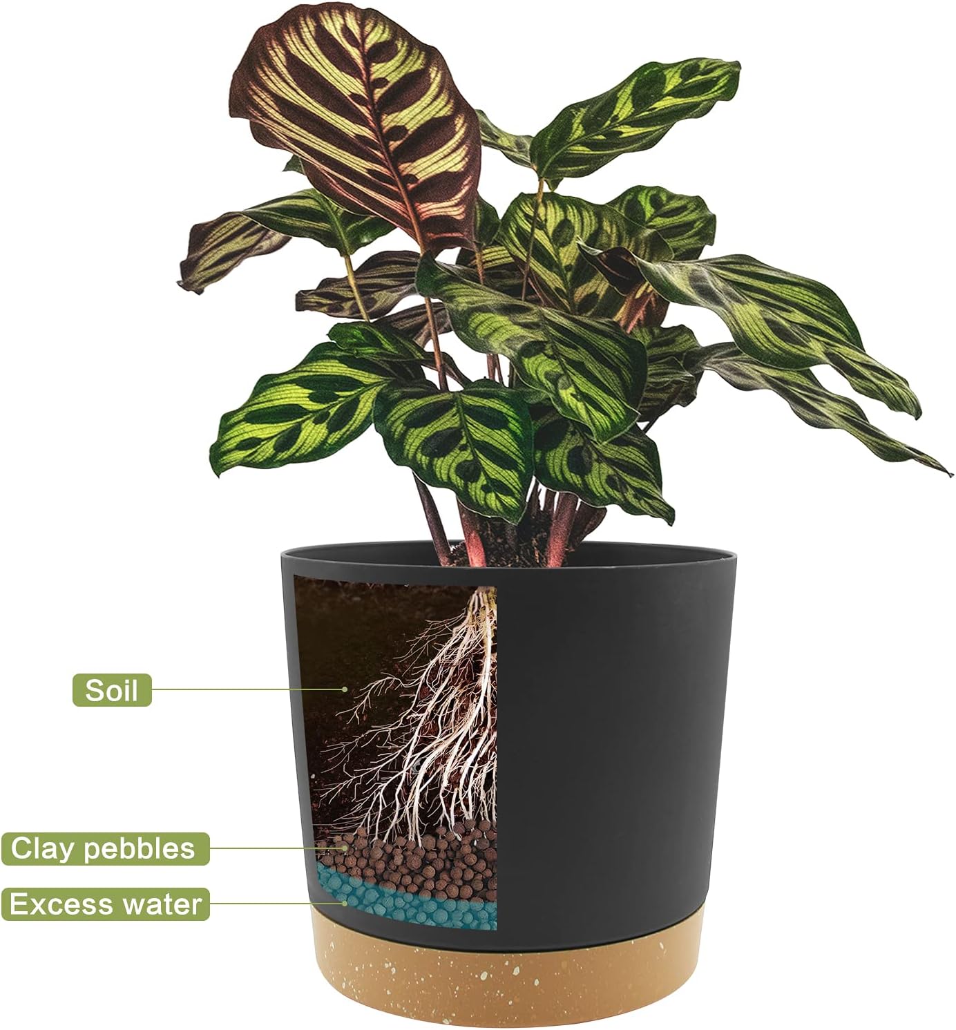 QCQHDU 6.5 inch Plant Pot, 2 Pack Planters for Indoor Plants with Drainage Holes & Saucer, Outdoor Flower Pots Home Garden Modern Decor