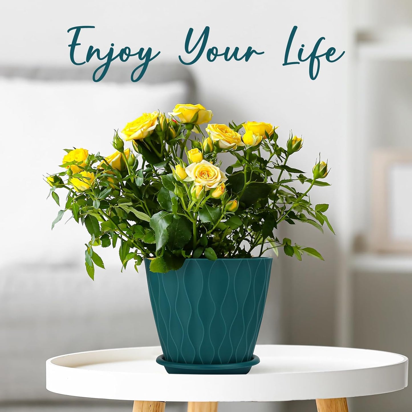 6 inch Plant Pots, 5 Pack Flower Pots Outdoor Indoor, Planters with Drainage Hole and Tray Saucer(Blue