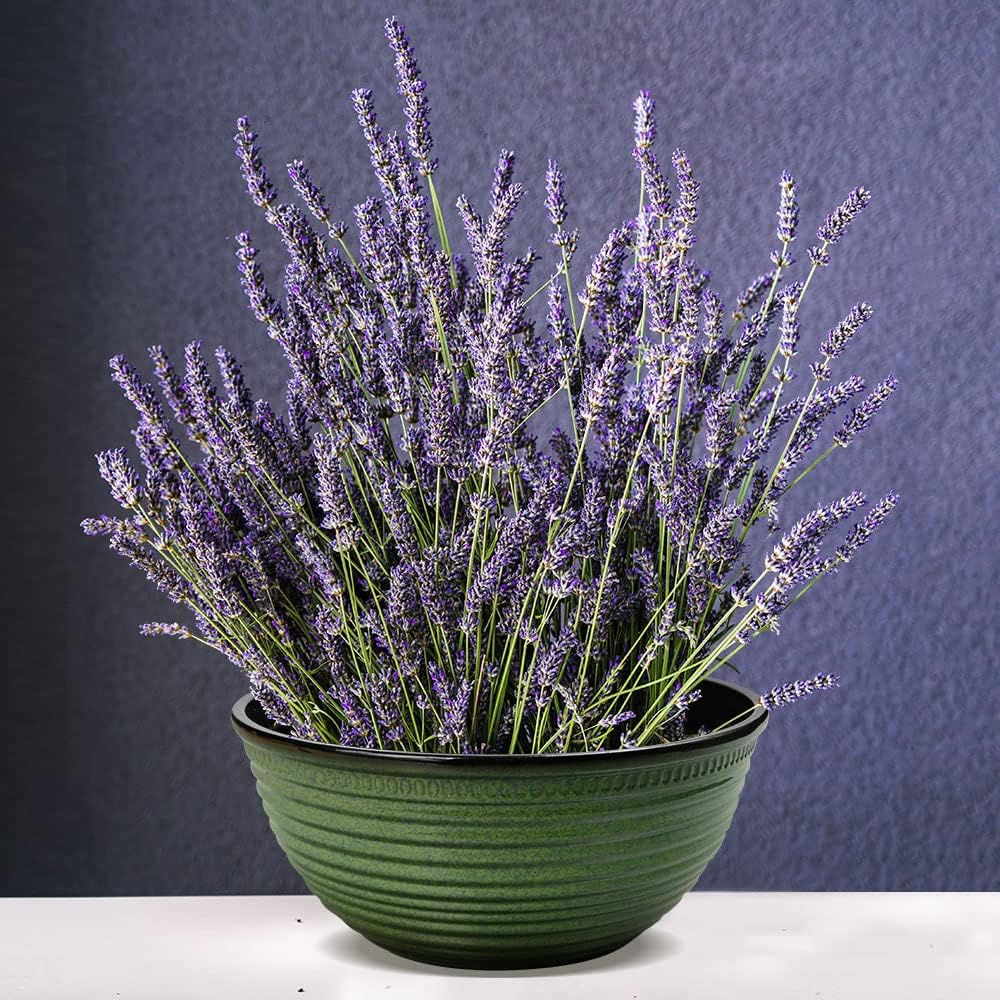 2 Pack 10 Inch Plant Pots,Durable Decorative Flower Pots Planters with Drainage Hole for Indoor and Outdoor Plants,Flowers,Succulents, Green