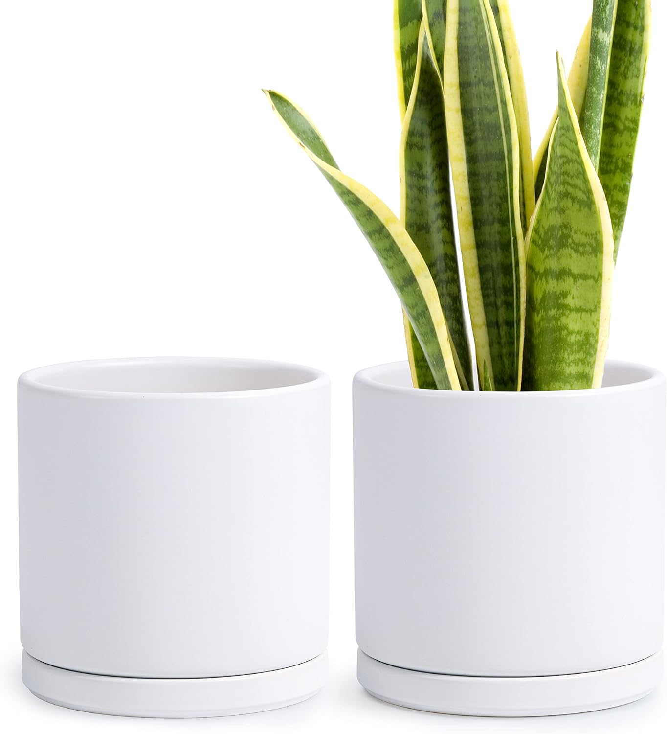 D'vine Dev Set of 2 Plants Pots, 8 Inch Ceramic Planter Pot for Plants with Drainage Hole and Saucer, White, 94-V-D-1
