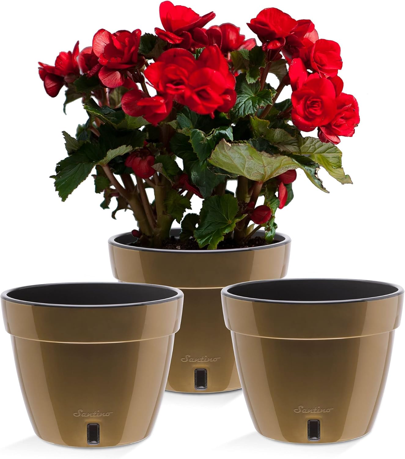 Santino ASTI 7.1 Inch Self Watering Planters Gold/Black (Set of 3) for Indoor Plants - Premium Quality Modern Plastic Pot w/Water Level Indicator for All House Plants, African Violets and Dahlias