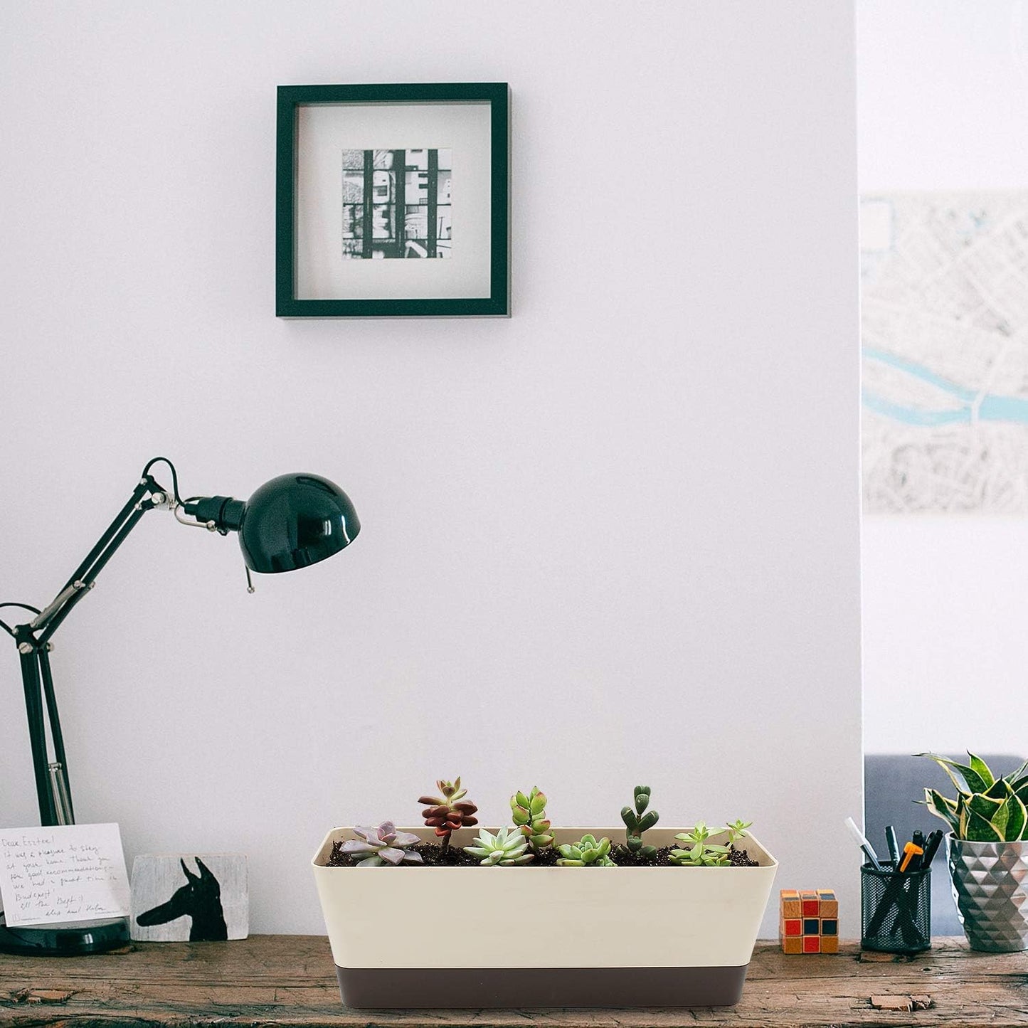 Lainrrew 3 Pack Window Box Planters, 12 Inches Rectangular Planter Plastic Flower Box Plant Pots Plant Containers with Tray for Balcony, Windowsill, Garden, Home Office Outdoor Decoration (Coffee)