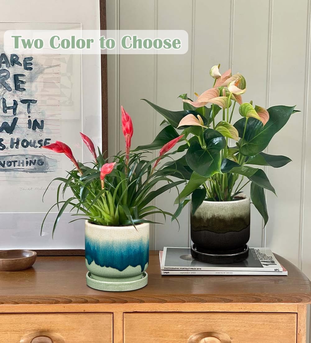 Oairse Ceramic Pot for Plants - 5.5 inch Small Planter with Drainage Hole and Saucers - Gradient Black Outdoor Indoor Flower Pot for Succulent, Cactus, Snake Plant, Herb