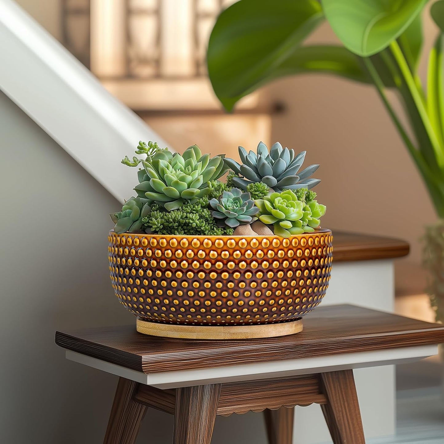 Bonsai Pots - 8 Inch Succulent Bowl for Indoor Plant, Shallow Round Ceramic Planters with Drainage Hole and Saucer, Boho Home Room Office Apartment Decor, Plant Lovers Gifts, Brown