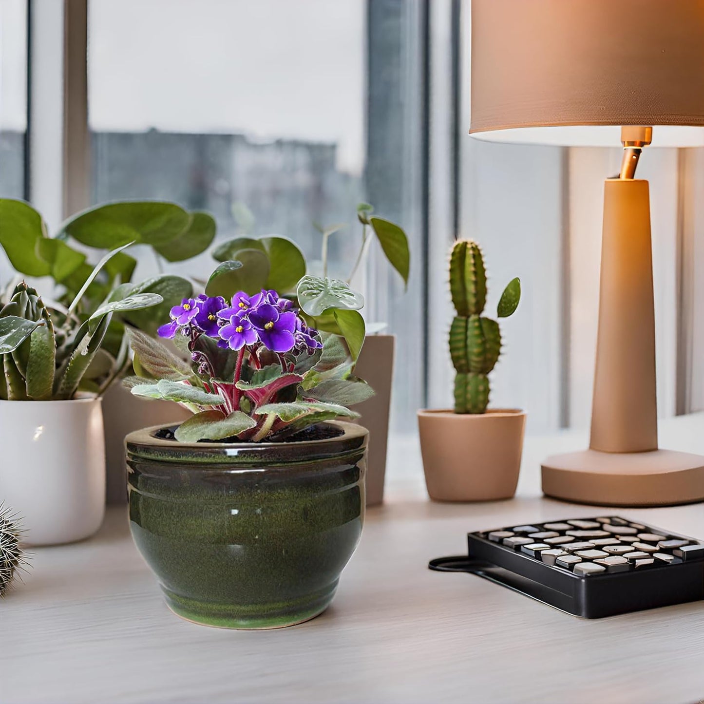 African Violet Pots Self Watering Round Ceramic Violet Pot (Olive drab, 6 inch)