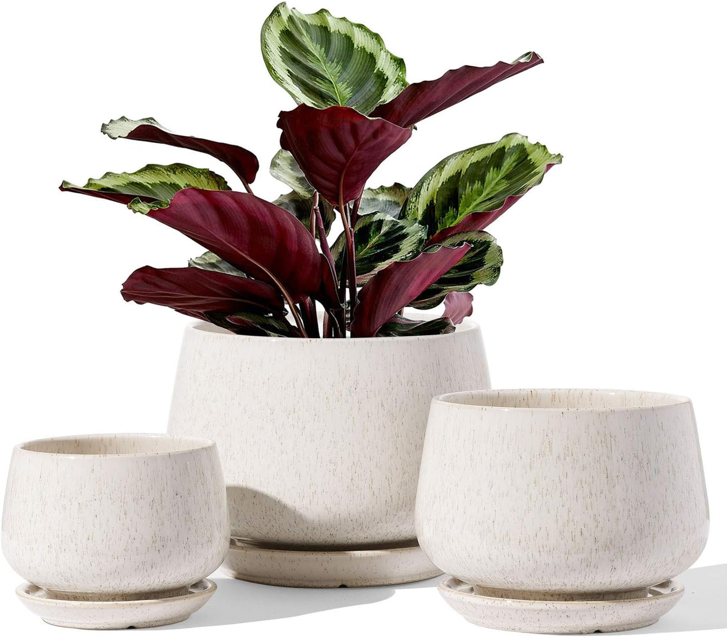 LE TAUCI Plant Pots, 4.1+5.1+6.5 inch, Set of 3, Ceramic Planters with Drainage Hole and Saucer, Indoor Flower Pot with Hole Mesh Pad, Gifts for Mom, Reactive Glaze Beige