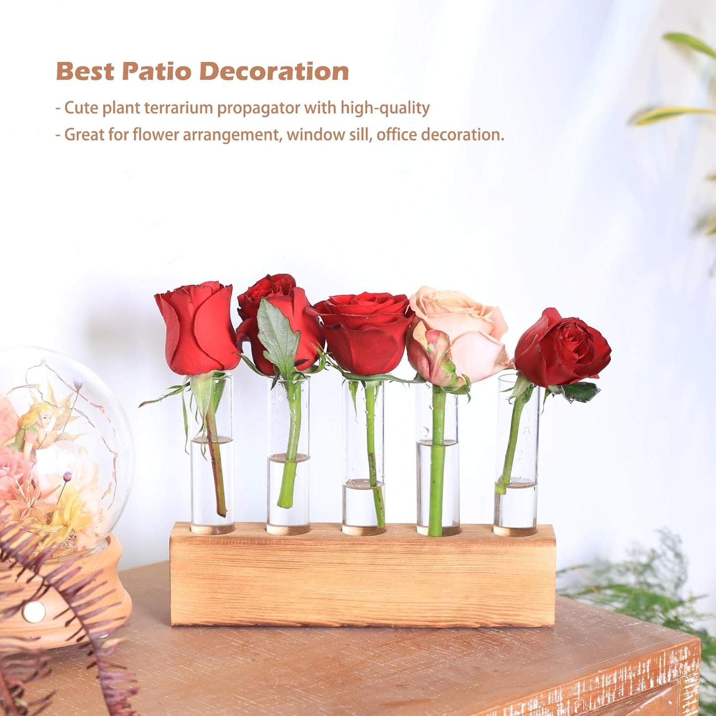 KAXYEW Plant Propagation Station, Plants Propagation Tubes, Gifts for Plant Lovers, Plants Cutting Holder Test Tube Vase Office Desk Garden Décor Gift for Her Mom Women Hydroponic Vase Gift Box