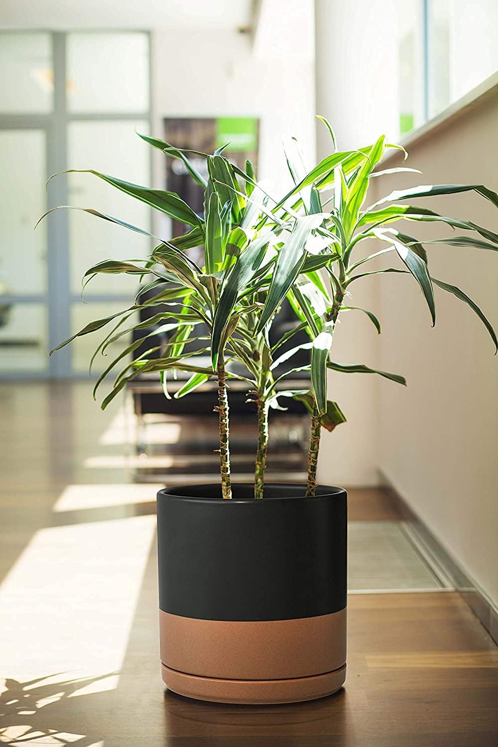 D'vine Dev 8 Inch & 10 Inch Ceramic Planter Pot for Plants with Drainage Hole and Saucer, Large Plant Pots Set, Black/Speckled Tan, 94-G-L-7