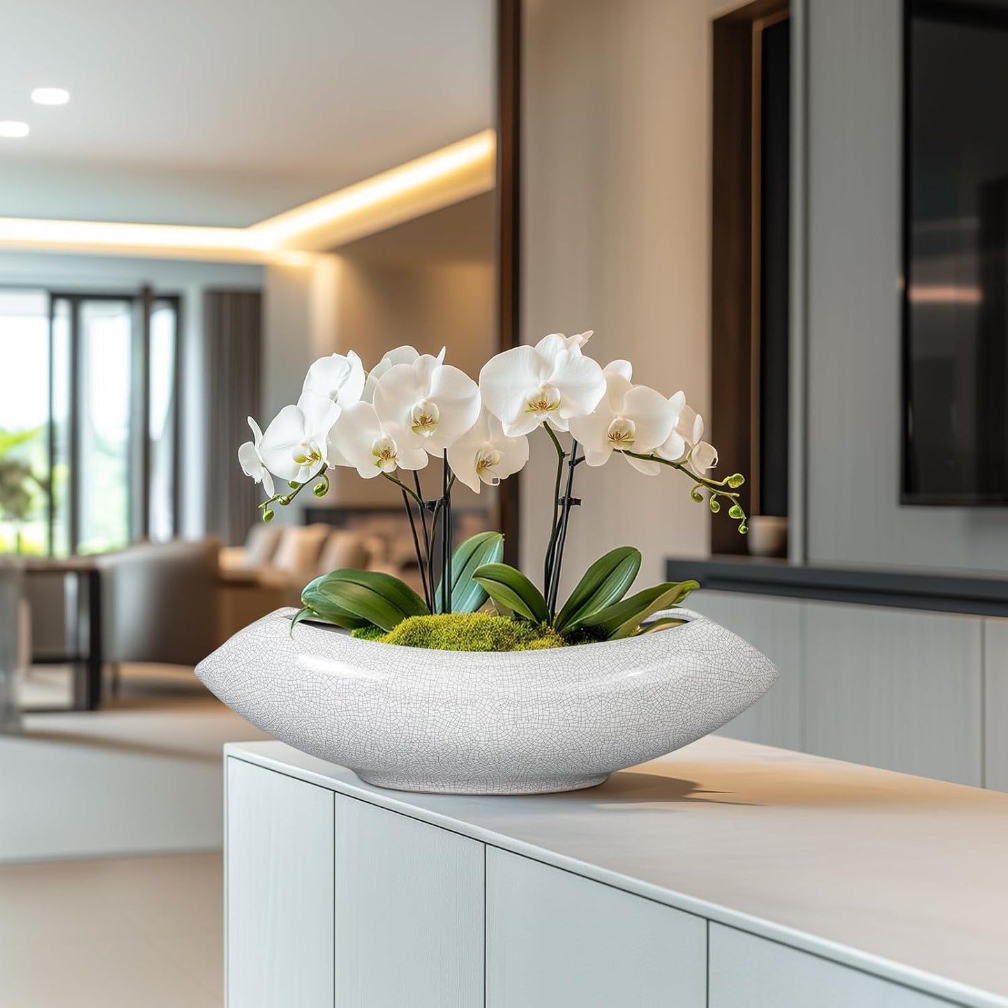 Ceramic Bonsai Tree Pot - 18 Inch Ceramic Pots for Plants, Large Succulent Planter with Drainage Hole for Indoor Outdoor, Unique Planters for Flower, Home Decor, Gardening Gifts, White-Black