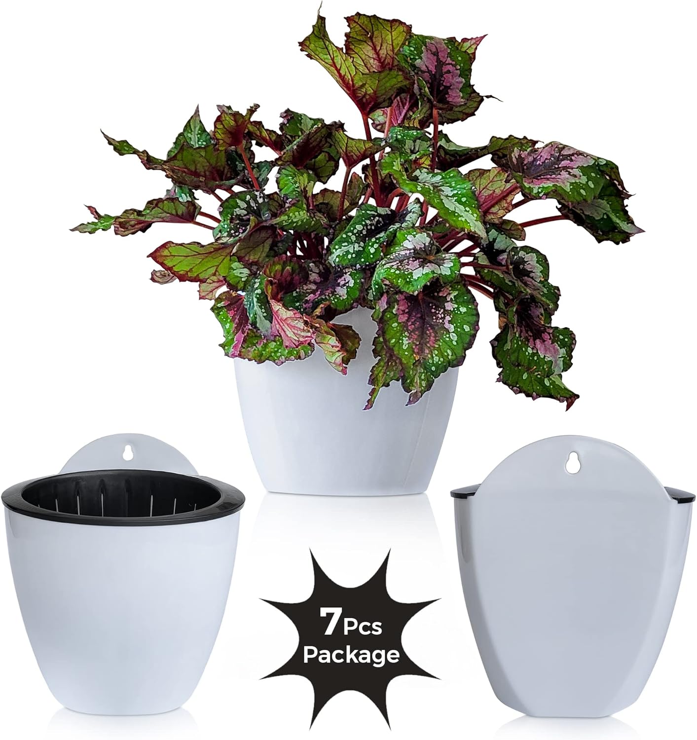 ShoppeWatch Self Watering Wall Planters for Indoor Plants 7 Pack | Hanging Planters Medium 5 Inch with Hooks | White Wall Pots for Plants | 5.0 x 5.3 inches PL34