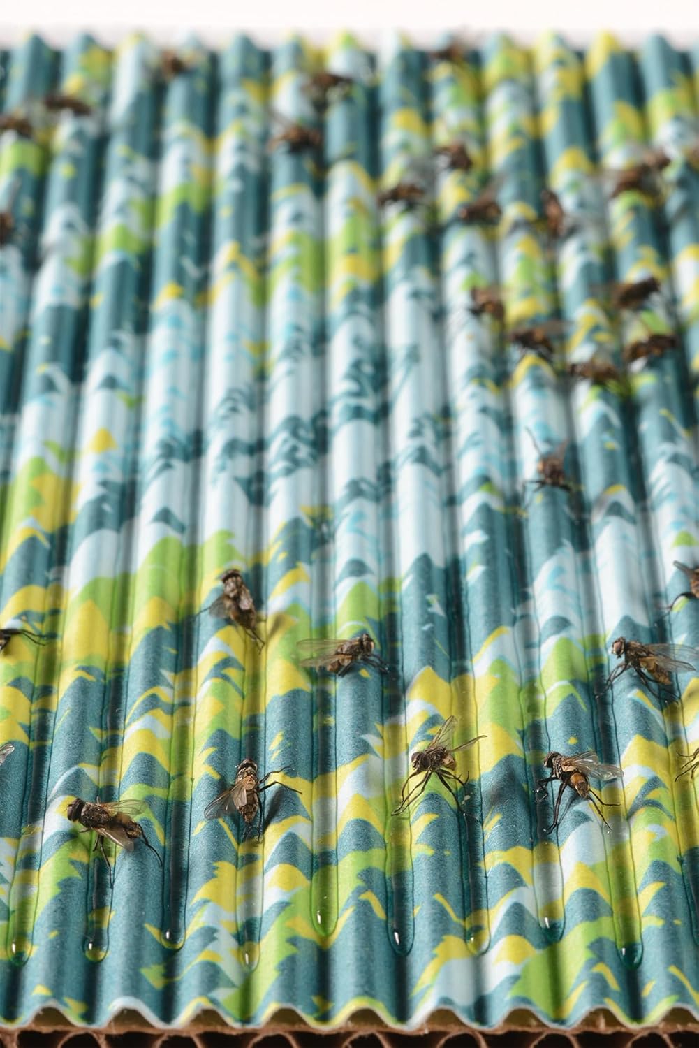 RESCUE! FlyPad – Sticky Fly Traps for Indoor & Outdoor Use - 16 Pack (32 Traps)