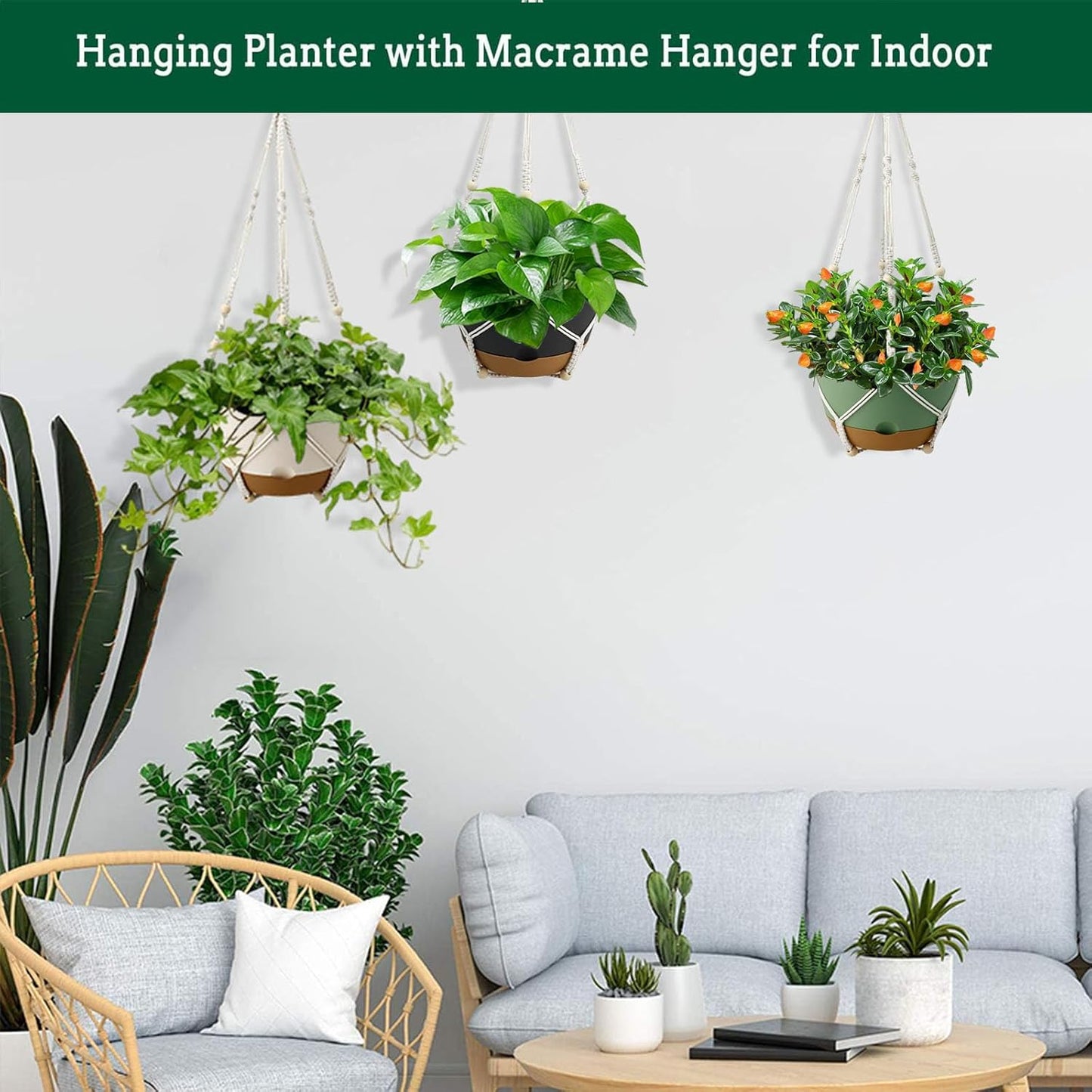 3 Pack Hanging Planters Set, 8 Inch Indoor Outdoor Hanging Plant Pot Basket,Hanging Flower Pot with Drainage Hole with 3 Hooks for Garden Home(8 inch Combination)