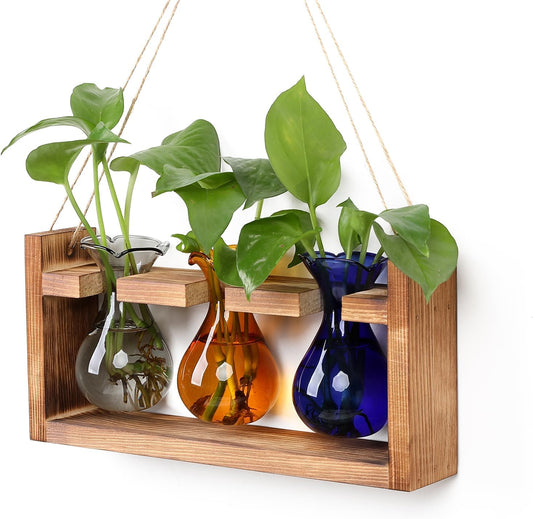 Plant Propagation Station Plant Terrarium Unique Birthday Gifts for Women Plant Lovers Home Office Decor Planter with Wooden Stand - 3 Bulb Glass Vase