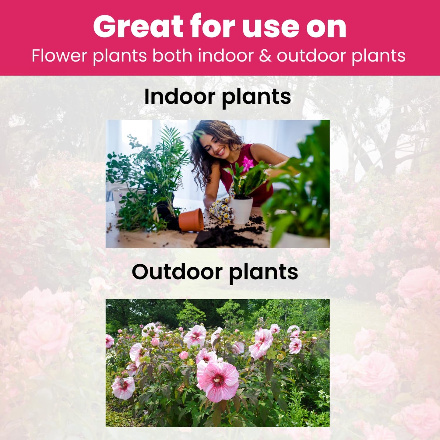 Concentrated Liquid Enzyme-Based Organic Plant Food | Organic Plant Fertilizer & Bloom Booster | Ideal for Flowers, Fruits & Vegetables, Indoor & Outdoor Gardening (8.45oz)