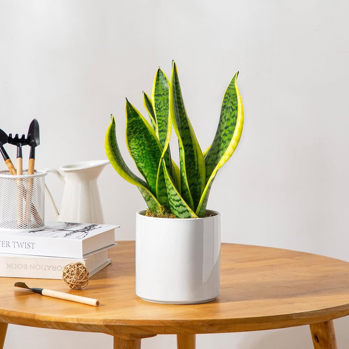 vancasso Ceramic Plant Pots, 6 Inch Planter Pot with Drainage Hole, Flower Pots for Indoor Outdoor Plants, White