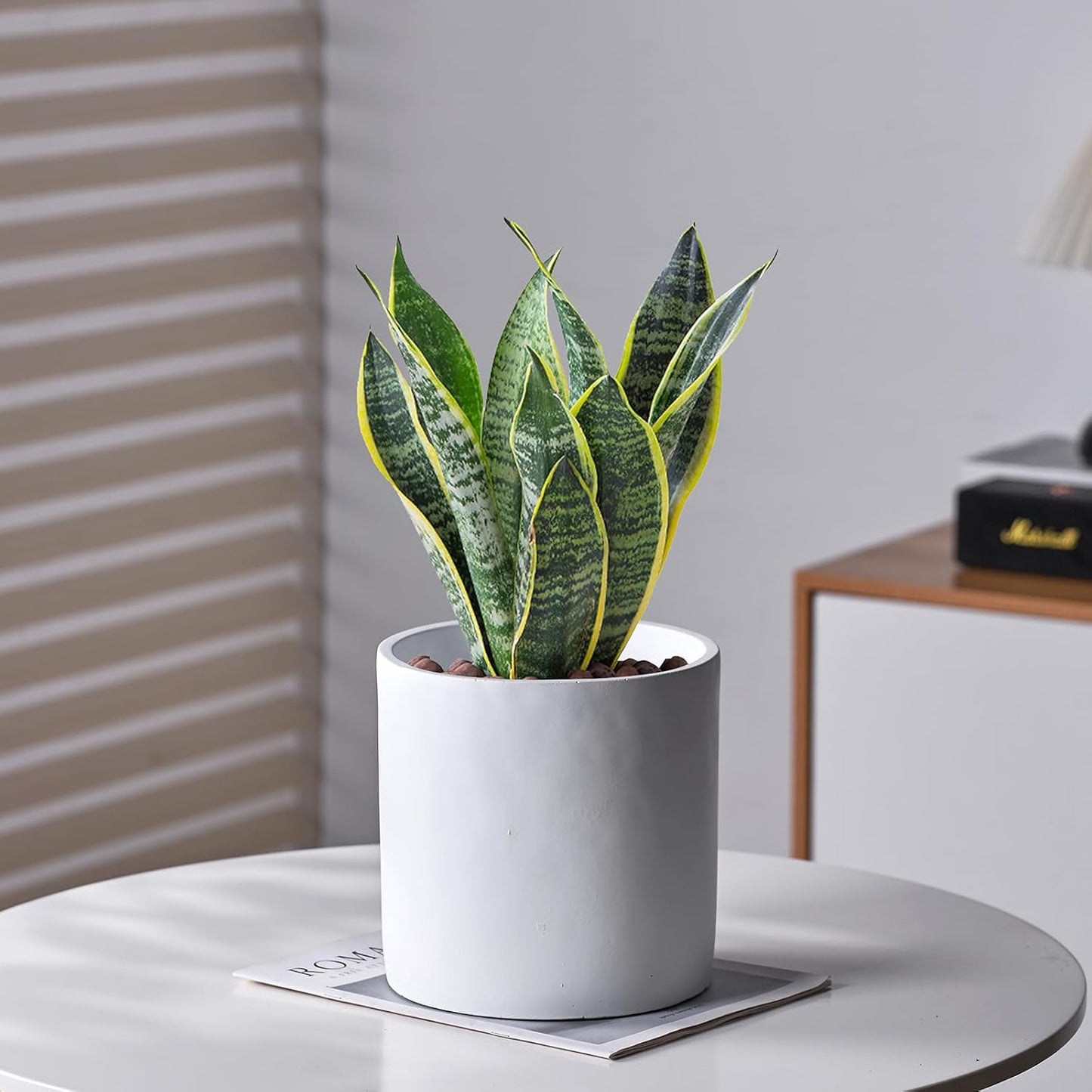 8 Inch Pot for Plants, Large Cement Planter with Drainage Hole, Mid-Century Modern Concrete Flower Pots for Home Decor, Office & Outdoor (White)