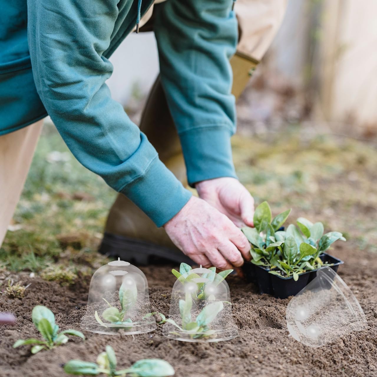 Mipcase 10pcs Transparent Plant Growth Domes Plastic Garden Cloche Covers for Plant Pot Hoods Ideal for Indoor and Outdoor Gardening Plant Enclosure Shields