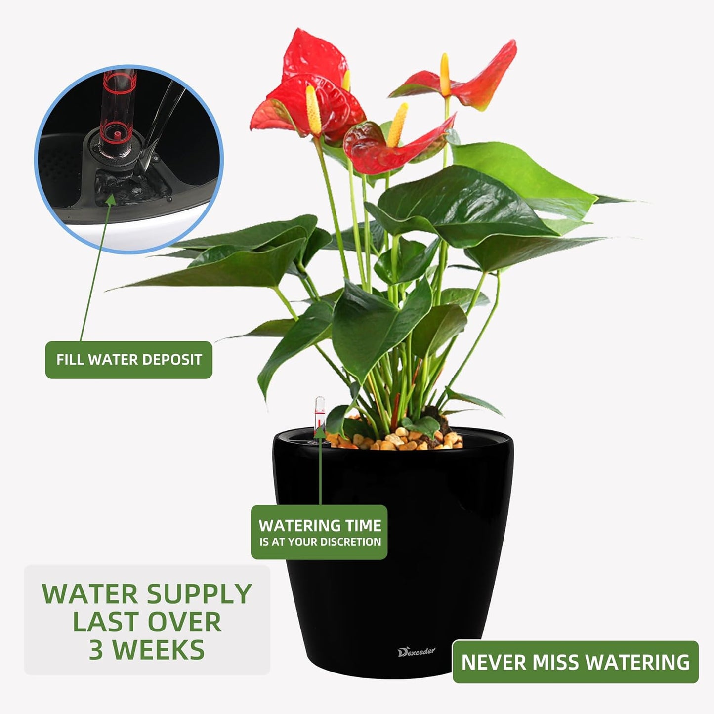 Dexceder 13x12 Self Watering Planter with Wheels Indoor Outdoor, Inner Pot Design, Thickened Large Floor Standing Flower Plant Pot with Water Level Indicator (Black Matte)